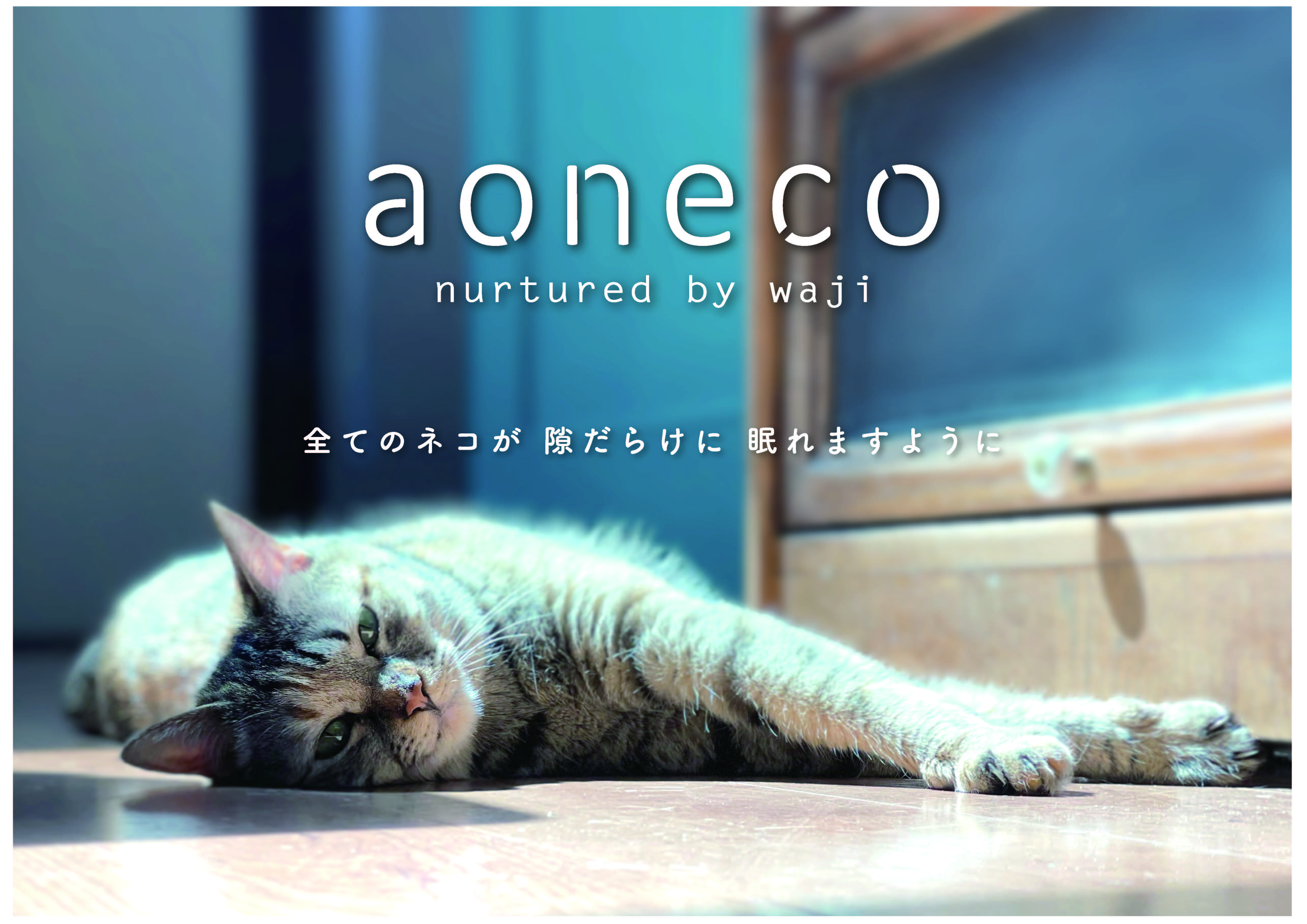 クリエイター画像